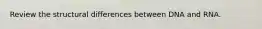 Review the structural differences between DNA and RNA.