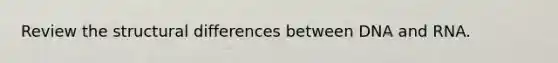 Review the structural differences between DNA and RNA.