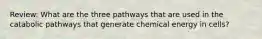 Review: What are the three pathways that are used in the catabolic pathways that generate chemical energy in cells?