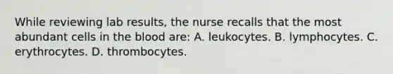 While reviewing lab results, the nurse recalls that the most abundant cells in the blood are: A. leukocytes. B. lymphocytes. C. erythrocytes. D. thrombocytes.