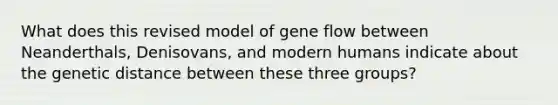 What does this revised model of gene flow between Neanderthals, Denisovans, and modern humans indicate about the genetic distance between these three groups?