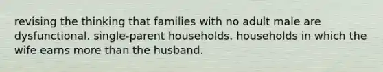 revising the thinking that families with no adult male are dysfunctional. single-parent households. households in which the wife earns more than the husband.