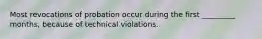 Most revocations of probation occur during the first _________ months, because of technical violations.