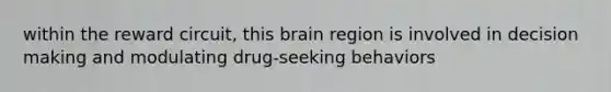 within the reward circuit, this brain region is involved in decision making and modulating drug-seeking behaviors