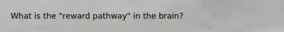 What is the "reward pathway" in the brain?