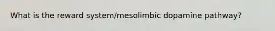 What is the reward system/mesolimbic dopamine pathway?