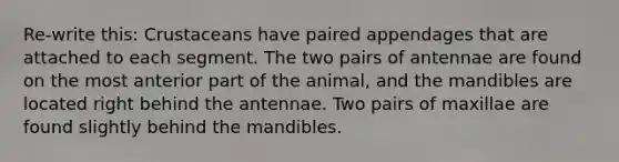 Re-write this: Crustaceans have paired appendages that are attached to each segment. The two pairs of antennae are found on the most anterior part of the animal, and the mandibles are located right behind the antennae. Two pairs of maxillae are found slightly behind the mandibles.