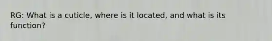 RG: What is a cuticle, where is it located, and what is its function?