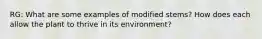 RG: What are some examples of modified stems? How does each allow the plant to thrive in its environment?