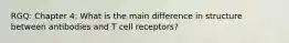 RGQ: Chapter 4: What is the main difference in structure between antibodies and T cell receptors?