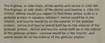 The R-group, or side chain, of the amino acid serine is -CH2-OH. The R-group, or side chain, of the amino acid leucine is -CH2-CH-(CH3)2. Where would you expect to find these amino acids in a globular protein in aqueous solution? -Serine would be in the interior, and leucine would be on the exterior of the globular protein. -Serine and leucine would both be on the exterior of the globular protein. -Serine and leucine would both be in the interior of the globular protein. -Leucine would be in the interior, and serine would be on the exterior of the globular protein.