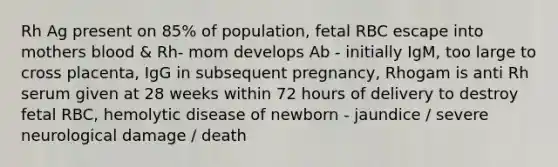 Rh Ag present on 85% of population, fetal RBC escape into mothers blood & Rh- mom develops Ab - initially IgM, too large to cross placenta, IgG in subsequent pregnancy, Rhogam is anti Rh serum given at 28 weeks within 72 hours of delivery to destroy fetal RBC, hemolytic disease of newborn - jaundice / severe neurological damage / death