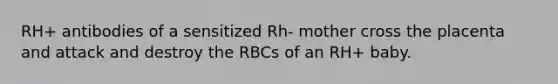 RH+ antibodies of a sensitized Rh- mother cross the placenta and attack and destroy the RBCs of an RH+ baby.