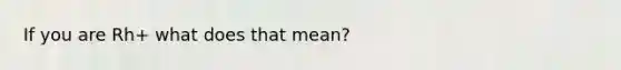 If you are Rh+ what does that mean?