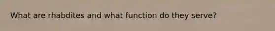 What are rhabdites and what function do they serve?