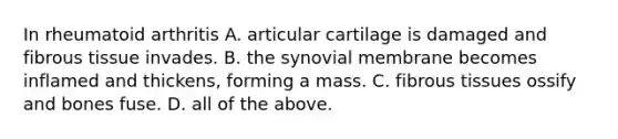 In rheumatoid arthritis A. articular cartilage is damaged and fibrous tissue invades. B. the synovial membrane becomes inflamed and thickens, forming a mass. C. fibrous tissues ossify and bones fuse. D. all of the above.