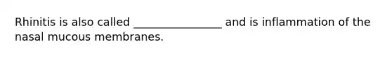 Rhinitis is also called ________________ and is inflammation of the nasal mucous membranes.