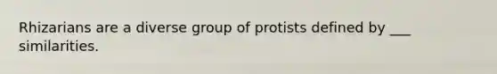 Rhizarians are a diverse group of protists defined by ___ similarities.