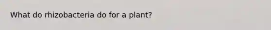 What do rhizobacteria do for a plant?