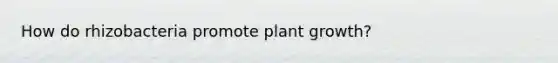 How do rhizobacteria promote plant growth?