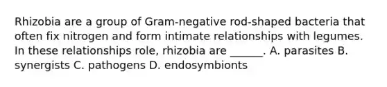 Rhizobia are a group of Gram-negative rod-shaped bacteria that often fix nitrogen and form intimate relationships with legumes. In these relationships role, rhizobia are ______. A. parasites B. synergists C. pathogens D. endosymbionts