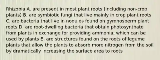 Rhizobia A. are present in most plant roots (including non-crop plants) B. are symbiotic fungi that live mainly in crop plant roots C. are bacteria that live in nodules found on gymnosperm plant roots D. are root-dwelling bacteria that obtain photosynthate from plants in exchange for providing ammonia, which can be used by plants E. are structures found on the roots of legume plants that allow the plants to absorb more nitrogen from the soil by dramatically increasing the surface area to roots