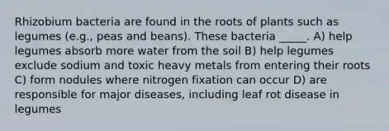 Rhizobium bacteria are found in the roots of plants such as legumes (e.g., peas and beans). These bacteria _____. A) help legumes absorb more water from the soil B) help legumes exclude sodium and toxic heavy metals from entering their roots C) form nodules where nitrogen fixation can occur D) are responsible for major diseases, including leaf rot disease in legumes