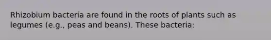 Rhizobium bacteria are found in the roots of plants such as legumes (e.g., peas and beans). These bacteria: