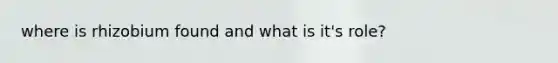 where is rhizobium found and what is it's role?