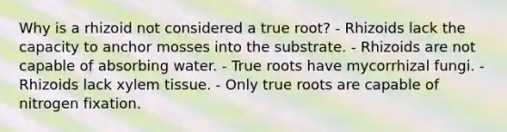 Why is a rhizoid not considered a true root? - Rhizoids lack the capacity to anchor mosses into the substrate. - Rhizoids are not capable of absorbing water. - True roots have mycorrhizal fungi. - Rhizoids lack xylem tissue. - Only true roots are capable of nitrogen fixation.