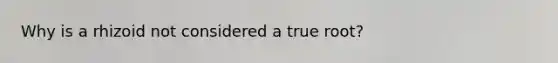 Why is a rhizoid not considered a true root?