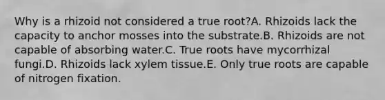 Why is a rhizoid not considered a true root?A. Rhizoids lack the capacity to anchor mosses into the substrate.B. Rhizoids are not capable of absorbing water.C. True roots have mycorrhizal fungi.D. Rhizoids lack xylem tissue.E. Only true roots are capable of nitrogen fixation.