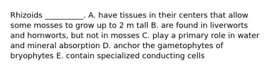 Rhizoids __________. A. have tissues in their centers that allow some mosses to grow up to 2 m tall B. are found in liverworts and hornworts, but not in mosses C. play a primary role in water and mineral absorption D. anchor the gametophytes of bryophytes E. contain specialized conducting cells