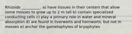 Rhizoids __________. a) have tissues in their centers that allow some mosses to grow up to 2 m tall b) contain specialized conducting cells c) play a primary role in water and mineral absorption d) are found in liverworts and hornworts, but not in mosses e) anchor the gametophytes of bryophytes