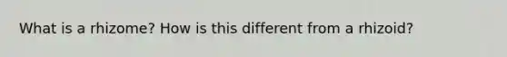 What is a rhizome? How is this different from a rhizoid?