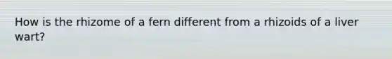How is the rhizome of a fern different from a rhizoids of a liver wart?