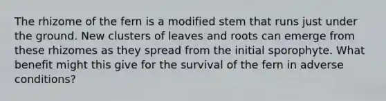 The rhizome of the fern is a modified stem that runs just under the ground. New clusters of leaves and roots can emerge from these rhizomes as they spread from the initial sporophyte. What benefit might this give for the survival of the fern in adverse conditions?