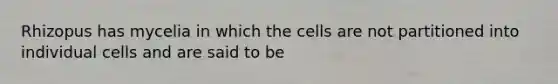 Rhizopus has mycelia in which the cells are not partitioned into individual cells and are said to be