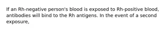 If an Rh-negative person's blood is exposed to Rh-positive blood, antibodies will bind to the Rh antigens. In the event of a second exposure,