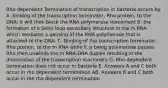 Rho dependent Termination of transcription in bacteria occurs by: A. binding of the transcription terminator, Rho protein, to the DNA; it will then block the RNA polymerase movement B. the formation of a Stem loop secondary structure in the m RNA which mediates a pausing of the RNA polymerase that is attached to the DNA. C. Binding of the transcription terminator, Rho protein, to the m RNA while it is being polymerase pauses Rho then unwinds the m RNA-DNA duplex resulting in the dissociation of the transcription machinery D. Rho dependent termination does not occur in bacteria E. Answers A and C both occur in rho dependent termination AB. Answers B and C both occur in the rho dependent termination