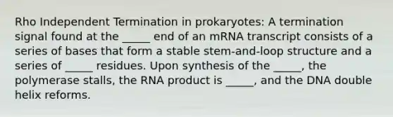 Rho Independent Termination in prokaryotes: A termination signal found at the _____ end of an mRNA transcript consists of a series of bases that form a stable stem-and-loop structure and a series of _____ residues. Upon synthesis of the _____, the polymerase stalls, the RNA product is _____, and the DNA double helix reforms.