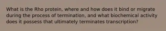 What is the Rho protein, where and how does it bind or migrate during the process of termination, and what biochemical activity does it possess that ultimately terminates transcription?