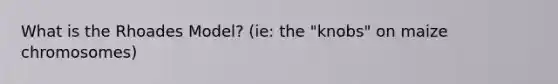 What is the Rhoades Model? (ie: the "knobs" on maize chromosomes)