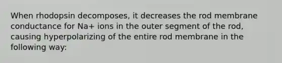 When rhodopsin decomposes, it decreases the rod membrane conductance for Na+ ions in the outer segment of the rod, causing hyperpolarizing of the entire rod membrane in the following way: