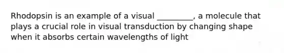 Rhodopsin is an example of a visual _________, a molecule that plays a crucial role in visual transduction by changing shape when it absorbs certain wavelengths of light