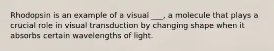 Rhodopsin is an example of a visual ___, a molecule that plays a crucial role in visual transduction by changing shape when it absorbs certain wavelengths of light.