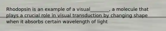 Rhodopsin is an example of a visual________, a molecule that plays a crucial role in visual transduction by changing shape when it absorbs certain wavelength of light