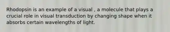 Rhodopsin is an example of a visual , a molecule that plays a crucial role in visual transduction by changing shape when it absorbs certain wavelengths of light.