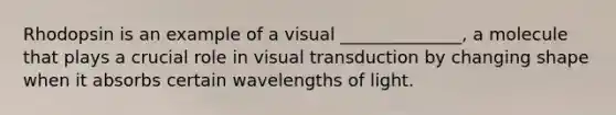 Rhodopsin is an example of a visual ______________, a molecule that plays a crucial role in visual transduction by changing shape when it absorbs certain wavelengths of light.