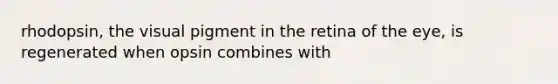 rhodopsin, the visual pigment in the retina of the eye, is regenerated when opsin combines with